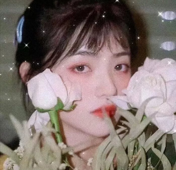 她和她的美丽岛